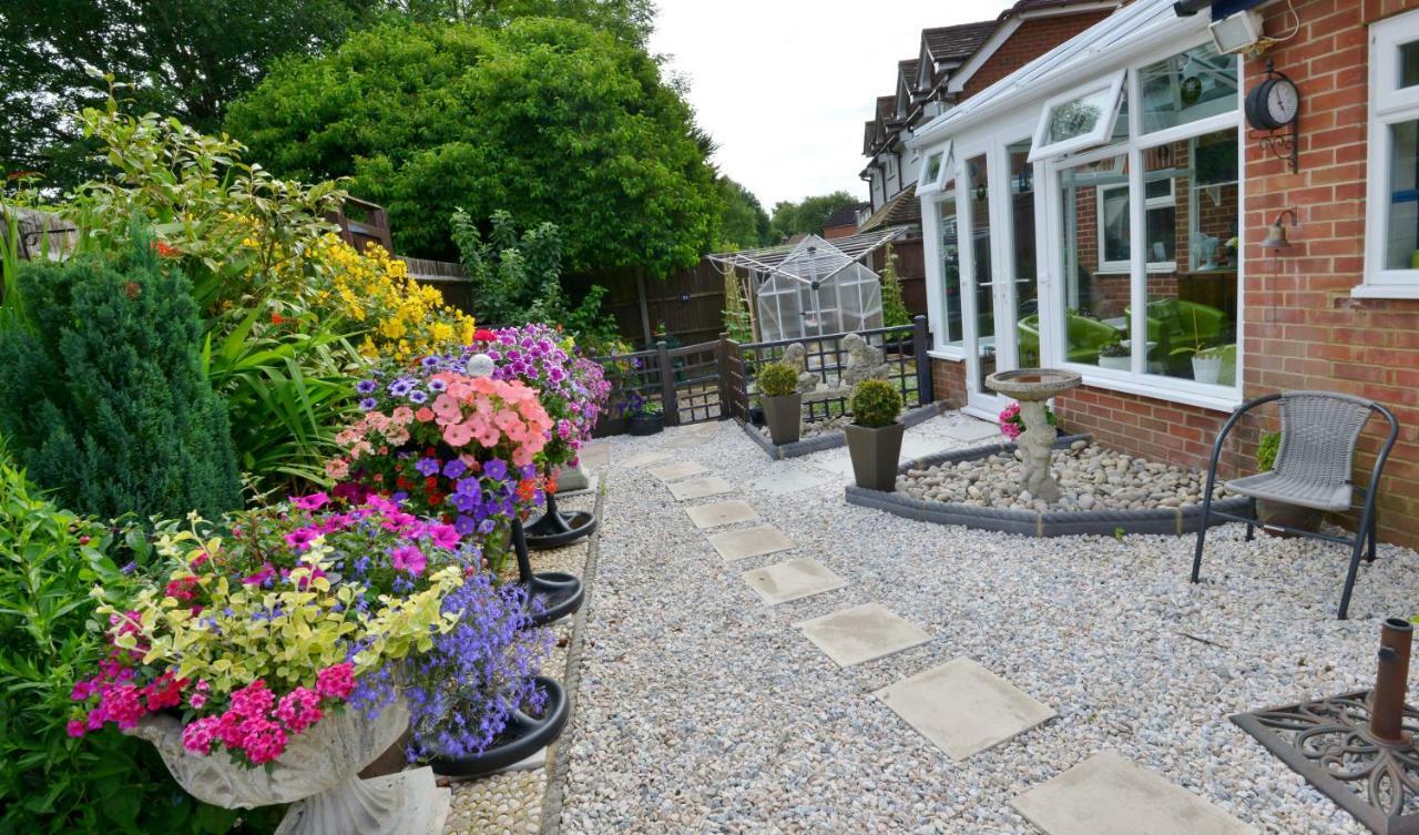 Rosedale Bed And Breakfast Lyndhurst Εξωτερικό φωτογραφία
