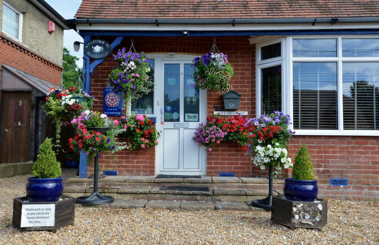 Rosedale Bed And Breakfast Lyndhurst Εξωτερικό φωτογραφία